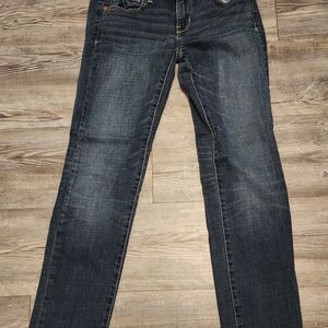 American Eagle Outfitters Dark Blue Skinny Jeans
